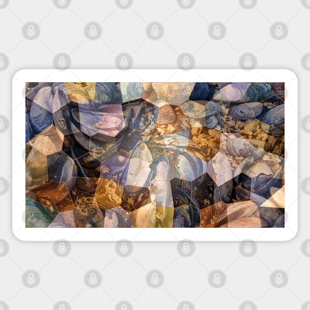 Sea Shore Abstract 6 Sticker by dhphotography